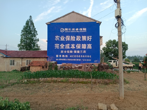 马关墙体广告为何受追捧？